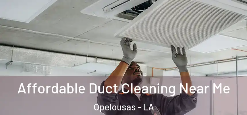  Affordable Duct Cleaning Near Me Opelousas - LA