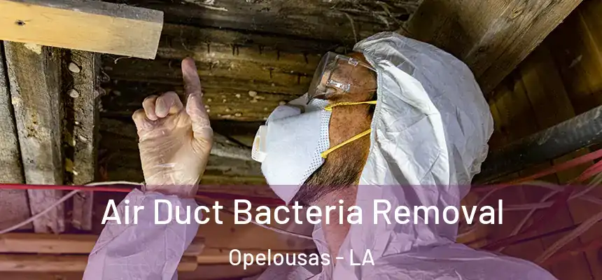  Air Duct Bacteria Removal Opelousas - LA