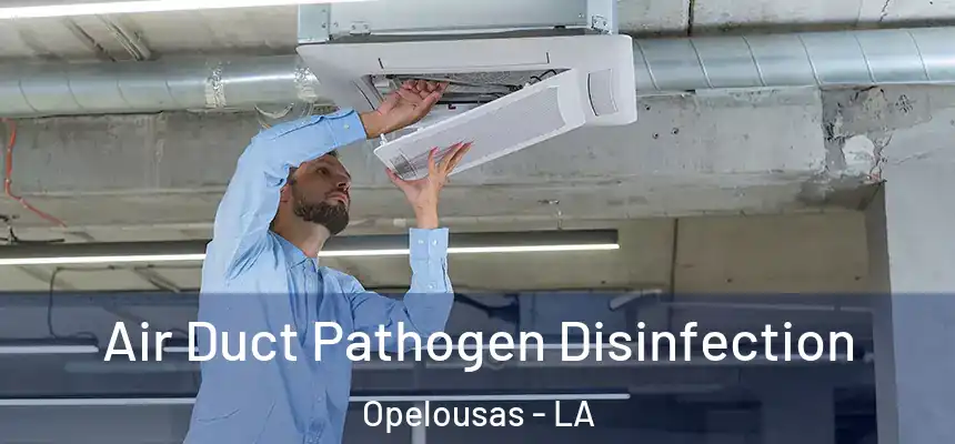  Air Duct Pathogen Disinfection Opelousas - LA