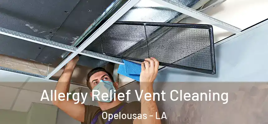  Allergy Relief Vent Cleaning Opelousas - LA