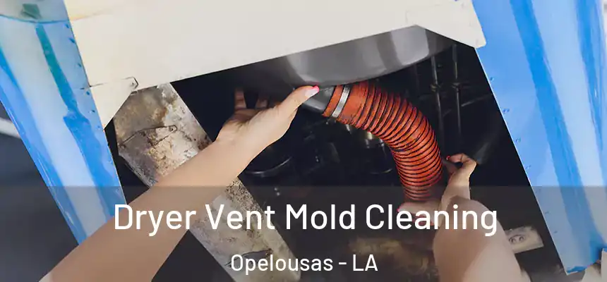  Dryer Vent Mold Cleaning Opelousas - LA