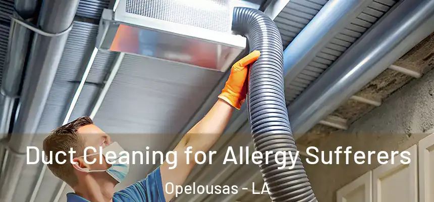  Duct Cleaning for Allergy Sufferers Opelousas - LA