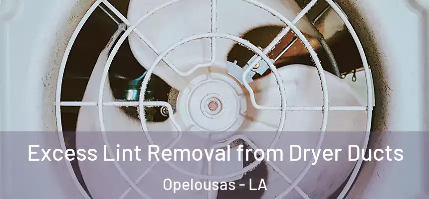  Excess Lint Removal from Dryer Ducts Opelousas - LA