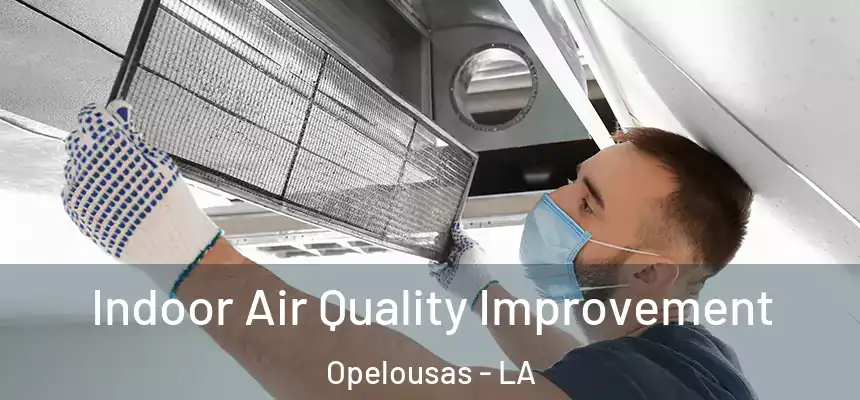  Indoor Air Quality Improvement Opelousas - LA