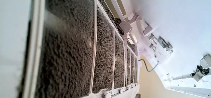 Preventive Air Duct Bacteria Removal in Opelousas