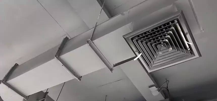 Our Pest Removal From Ducts Services in Opelousas, LA