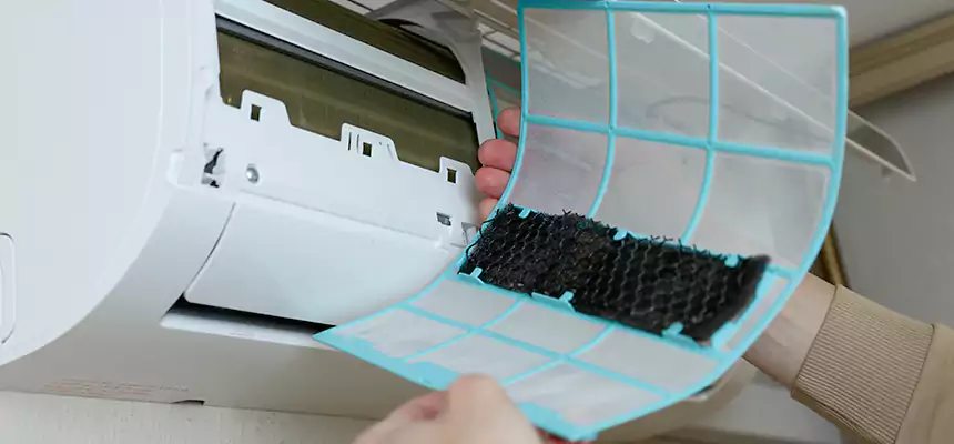 Gentle Ductwork Odor-Control Pet Dander Duct Cleaning in Opelousas, LA