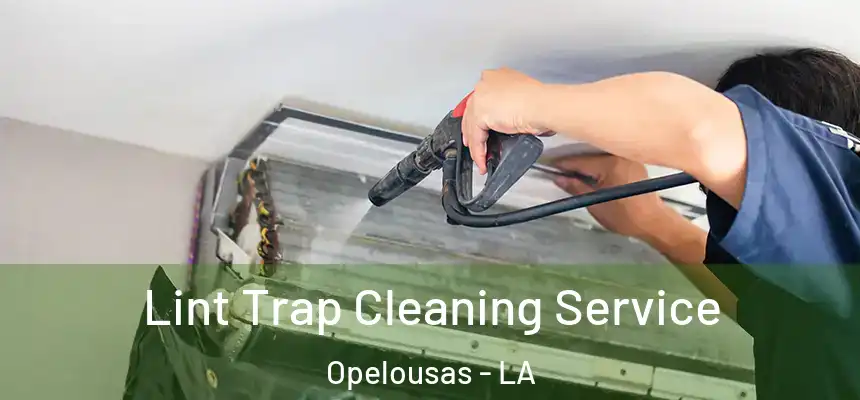  Lint Trap Cleaning Service Opelousas - LA