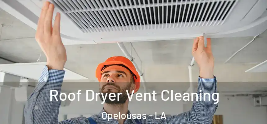  Roof Dryer Vent Cleaning Opelousas - LA