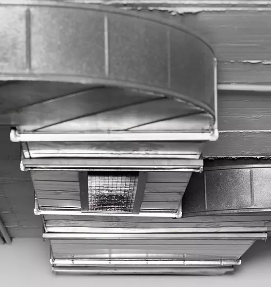 Professional Air Duct Pest Removal in Opelousas, LA