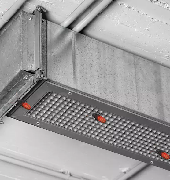 Affordable Insect Removal from Air Ducts in Opelousas, LA