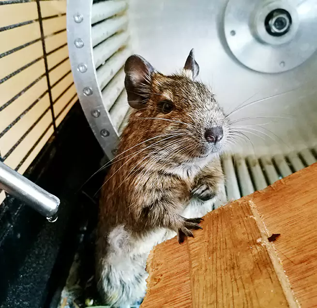 Why Homeowners & Businesses Trust Us Opelousas, LA