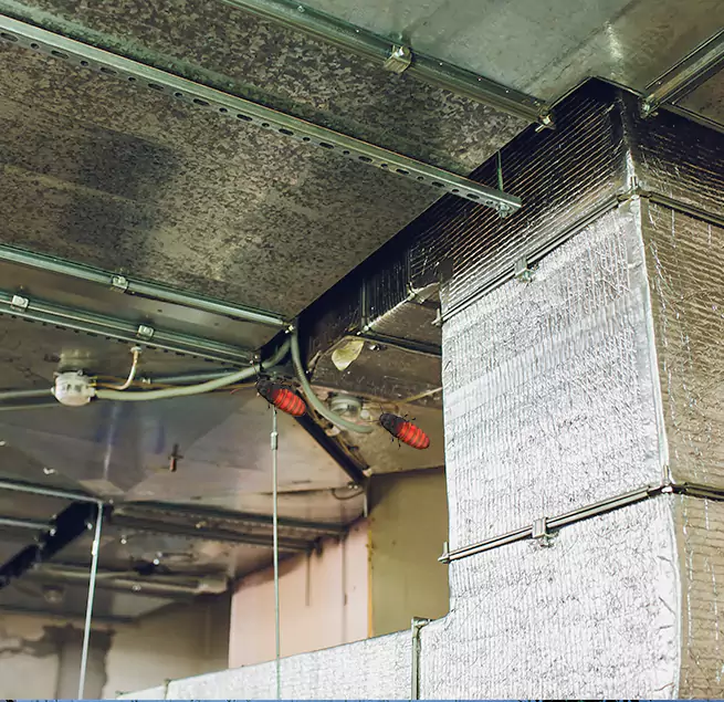 Why Homeowners & Businesses Trust Us Opelousas, LA?