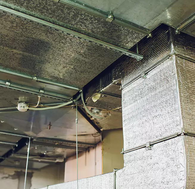 Why Homeowners & Businesses Trust Us in Opelousas, LA?