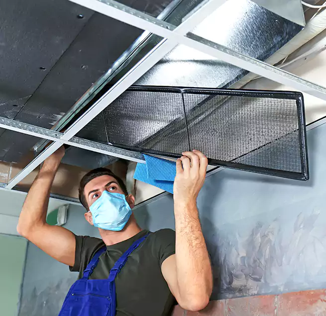 Why Homeowners Businesses Trust Us in Opelousas, LA