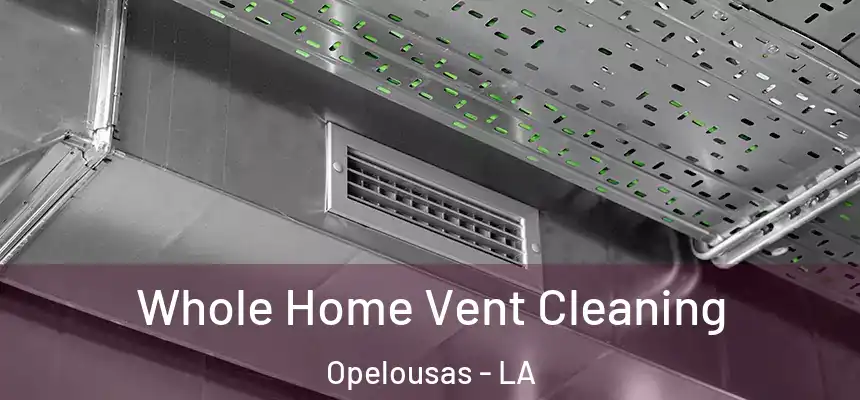  Whole Home Vent Cleaning Opelousas - LA
